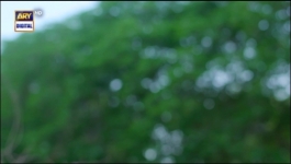 Dil-e-Veeran Episode 65 - 15th Aug 2022